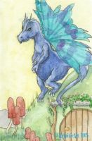 Fairy Dragon
